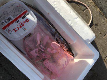 ショアジギング