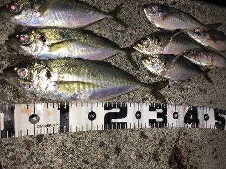 尺アップげっとー( ´ー｀)y-~~~