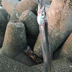 出勤前フィッシング！