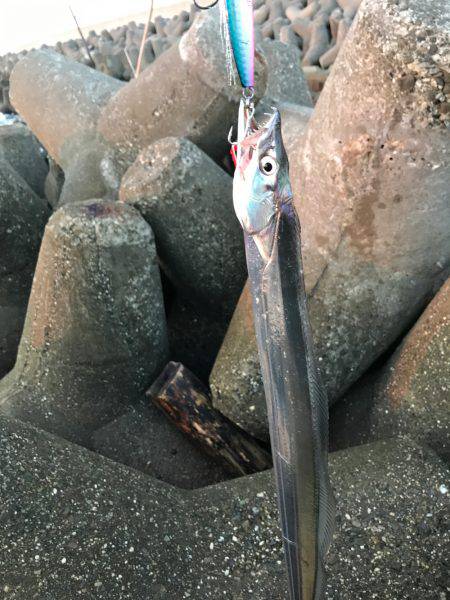 出勤前フィッシング！