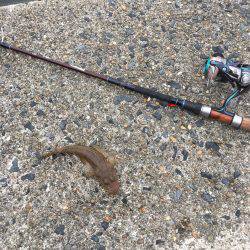 雨降る前に少しだけ・・・。