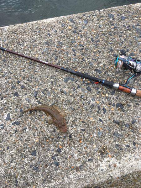 雨降る前に少しだけ・・・。