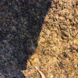 遠征でみなべなまで