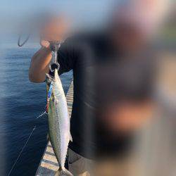 ショアジギ 大アジ&サゴシ