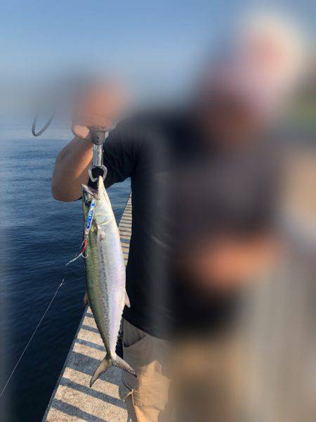 ショアジギ 大アジ&サゴシ