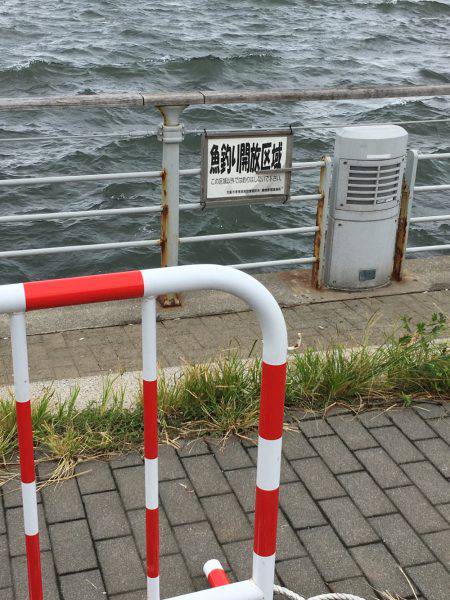 初コスモスクエア♪