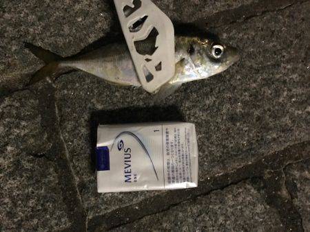 アジング成功！