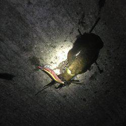 もう薄着では寒いですm(_ _)m