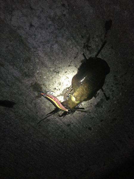 もう薄着では寒いですm(_ _)m