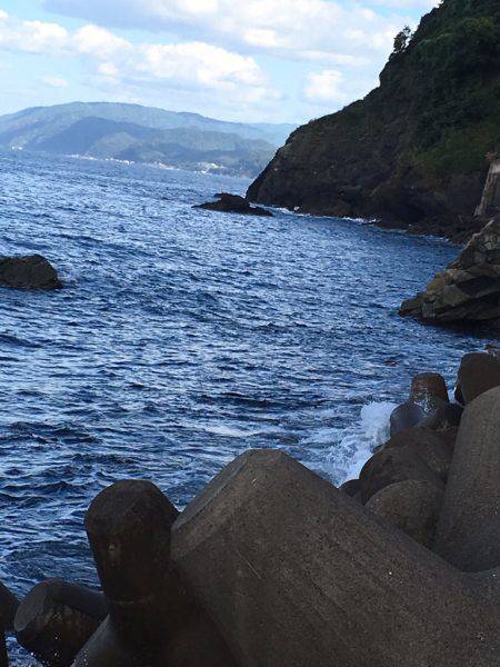 アオリの成長悪いな！