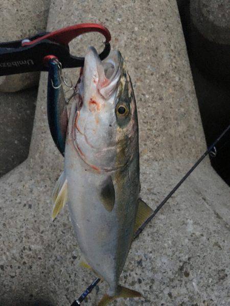 試合に勝って勝負に負け的な…サゴハマチ