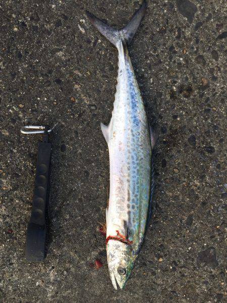 ショア&ゲッター