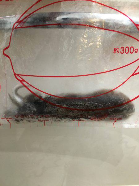 アニメ中30分だけ！！