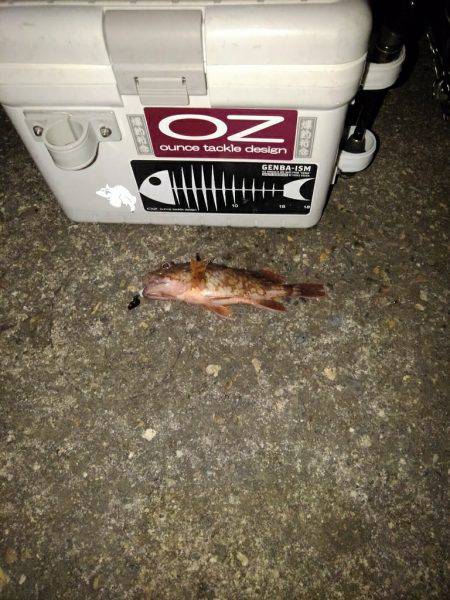 ガシリンクにはまってます!!