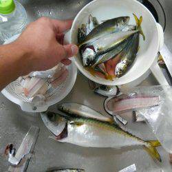 コスモスクエアにてカゴ釣り、太刀魚釣り