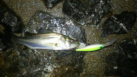 辛うじてチーバス一本