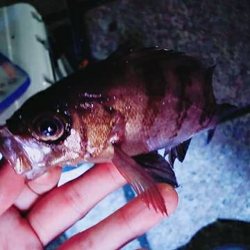 またまた行ってきました！