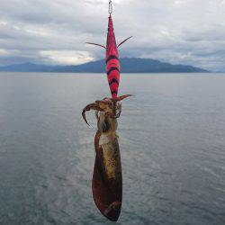 サイズダウンしてます