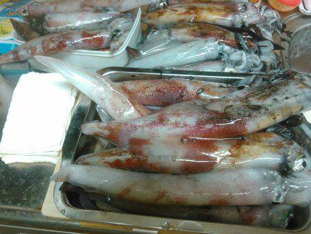 オッパイにくわえつく、シロイカ