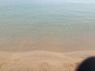 サーフエギング