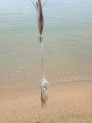 今日は蒸し暑かった。