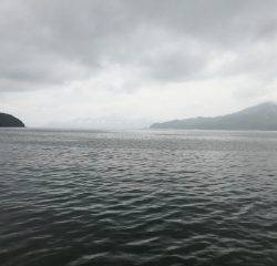 雨中のエギング