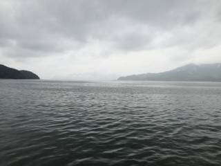 雨中のエギング