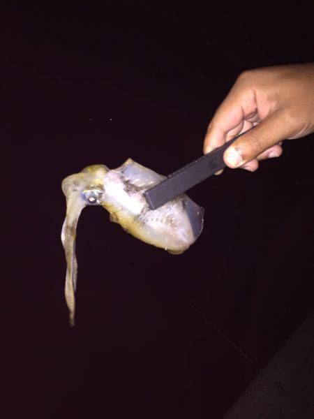 エギング外浦ランガン