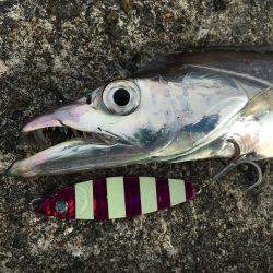 爆釣の武庫一へ!