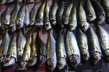 どこも人でいっぱい