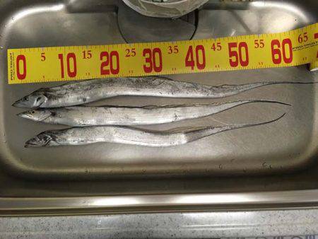 水軒鉄鋼団地で今期初タチウオ…とオマケ