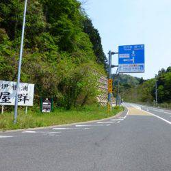 エギング、アオリイカ。