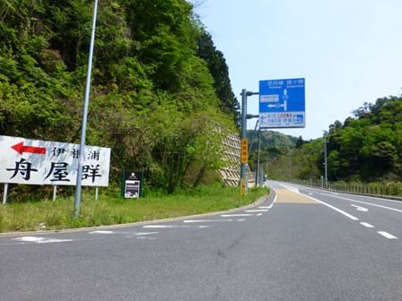 エギング、アオリイカ。