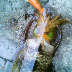 3回連続です･・･・？