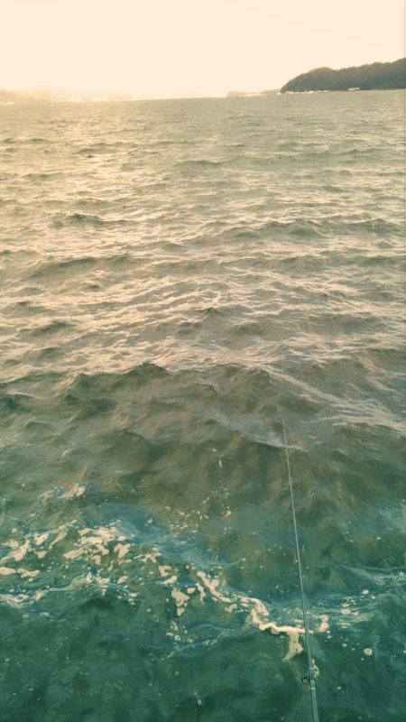 お留守ですか！？