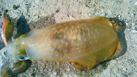 渋ッいなかなんとかツ抜け～！