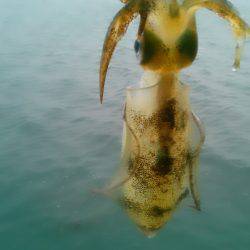 貸し借り(嵐)～♪