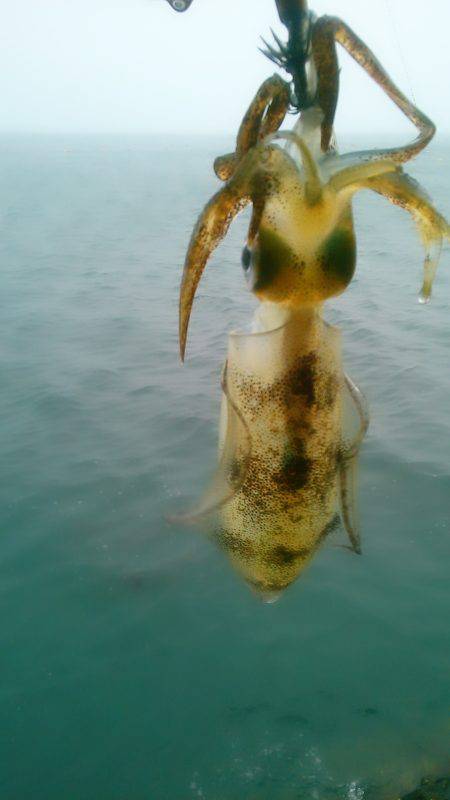 貸し借り(嵐)～♪