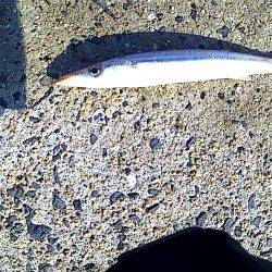 久しぶりのちょい遠征