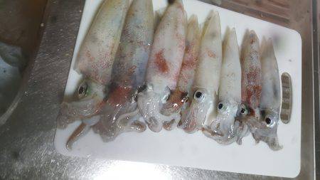 夕まずめからのー