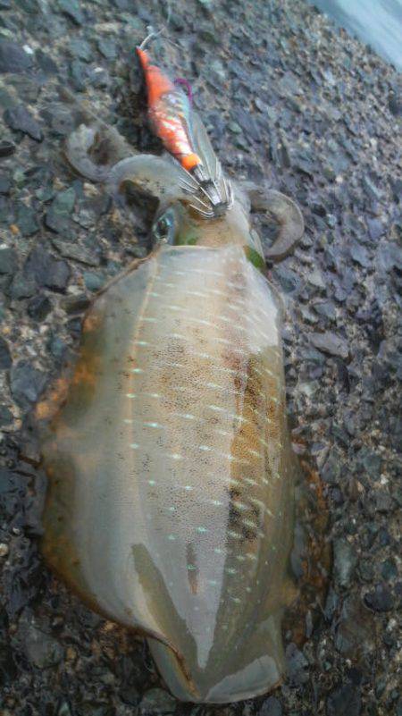 雨　雨　あがれ！