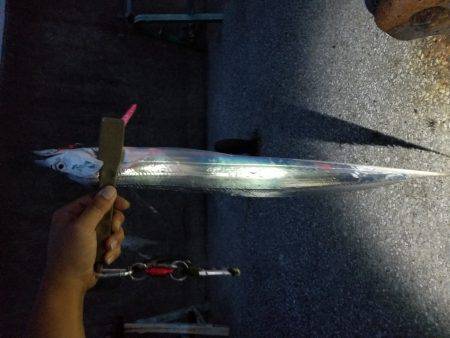 仕事帰りにワインド太刀