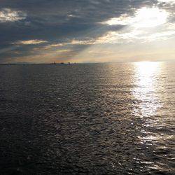 太刀魚も一段落