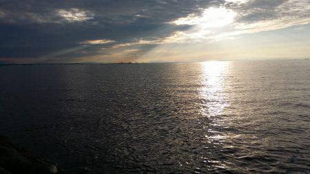 太刀魚も一段落