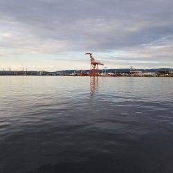 一本だけチャレンジ