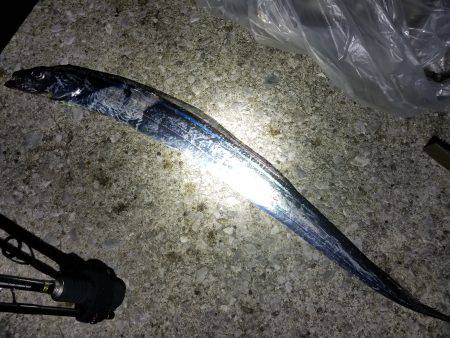 仕事帰りにワインド