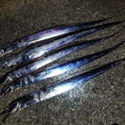 仕事帰りにワインド太刀