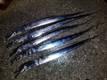 仕事帰りにワインド太刀