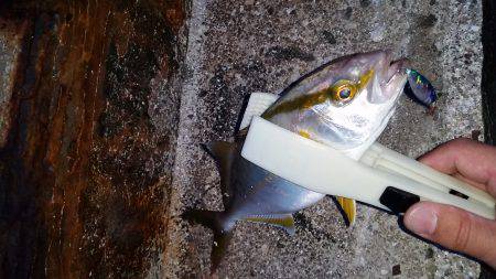 台風前に釣れるかな