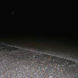 サーフのナイトゲームでデッドスローにキビレがヒット